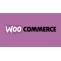 WooCommerce development: The Beginners Guide about its fundamentals &#8211; Good business ideas | Best business ideas