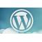 WordPress Development Services | WordPress agency London | WordPress Development Company UK