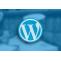 WordPress Development Company | Hire Wordpress Developer