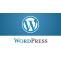 WordPress Development Services and Its Brief Analysis &#8211; the world