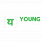 Grow your Business with the best SEO company in Chandigarh- Young Yell