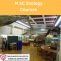 M.SC Zoology Courses | Dolphin(PG) College