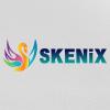 skenixinfotech's picture