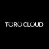 torocloud's picture