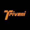 Triveni Group's picture