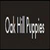 oakhillpuppies's picture