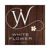 White Flower's picture