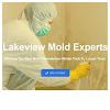 Lakeview Mold Experts's picture