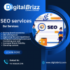 marketing digitalbrizz's picture