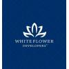 Whiteflower developers's picture