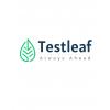 testleaf m's picture