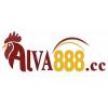 viva888cc's picture