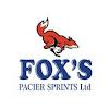 foxi courier's picture