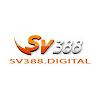 SV388's picture